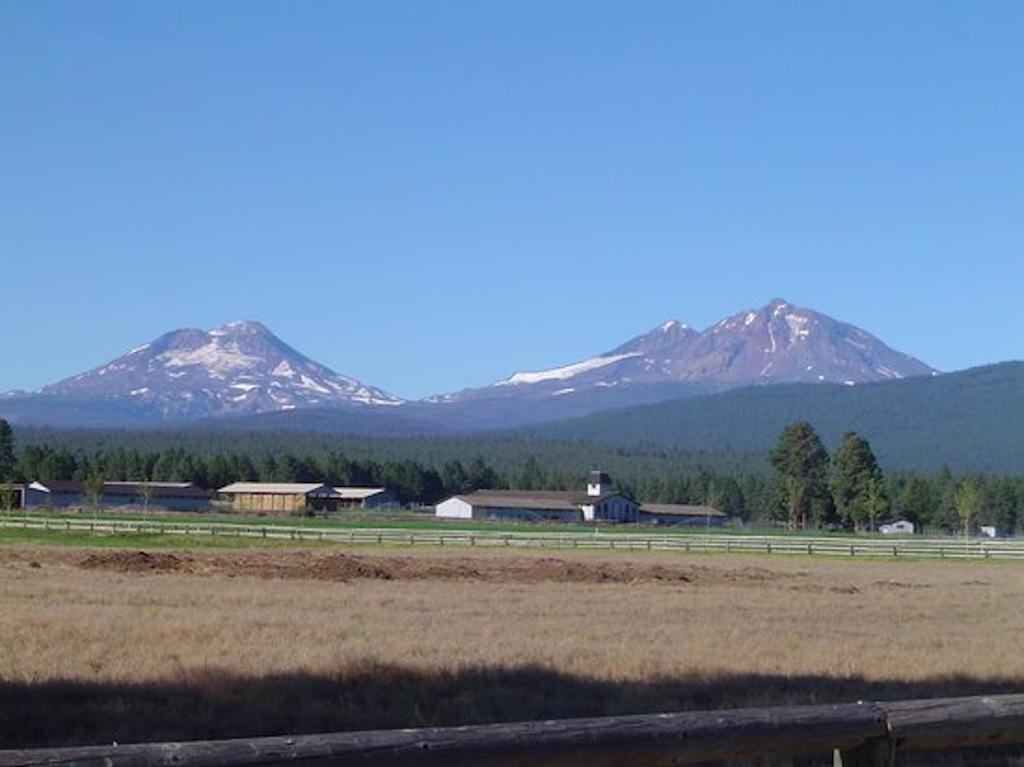 Left Coast Lodge - Pet Friendly Sisters Exteriör bild